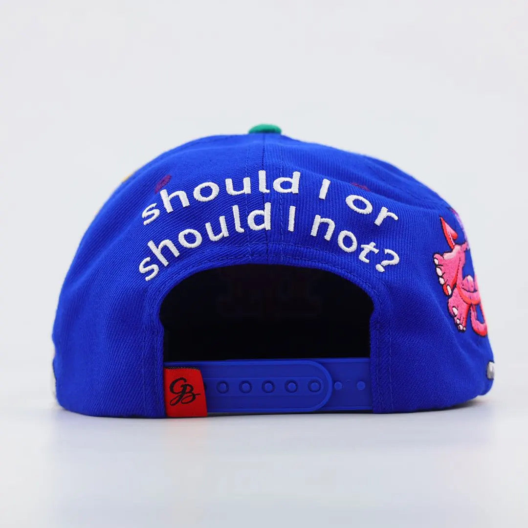 NY,Should I or should I not? SnapBack