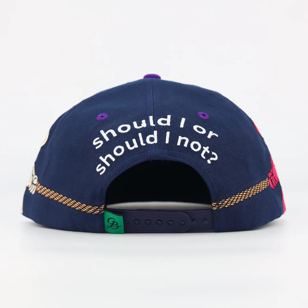 NY. Should I or should I not series SnapBack