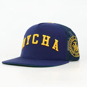NYCHA Strapback (green)